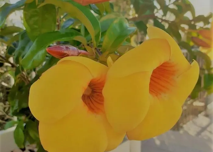 Infinity ∞ Vendégház *